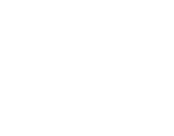 The Ritz-Carlton